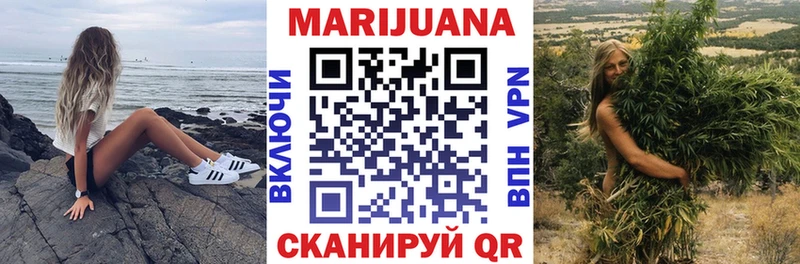 мориарти телеграм  Стародуб  Канабис SATIVA & INDICA 